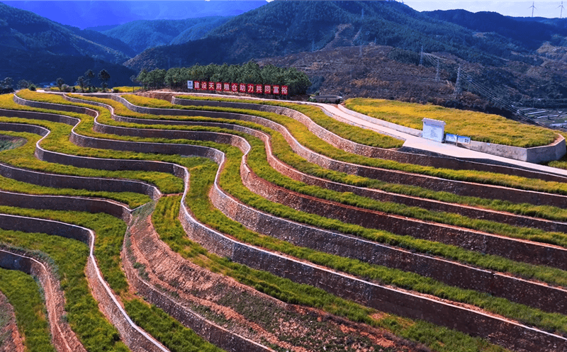 党建引领促生长 “护仓”先锋勇攻坚