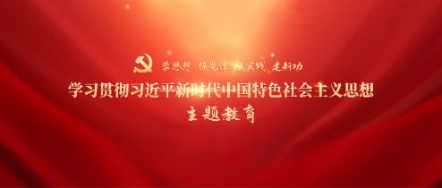 学习贯彻习近平新时代中国特色社会主义头脑主题教育