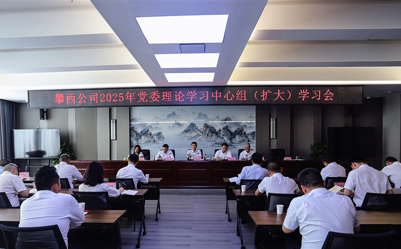 攀西公司党委召开理论学习中心组（扩大）学习聚会