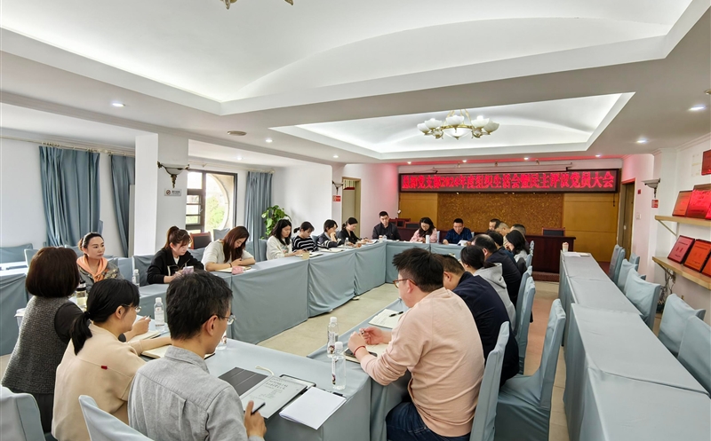 测绘公司各党支部召开2024年度组织生涯会、民主评议党员