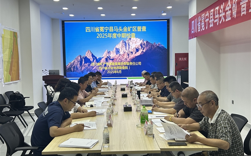 矿勘集团肩负的省财务投资项目冕宁县马头金矿区普查通过省自然尊时凯龙厅2025年度中期检查
