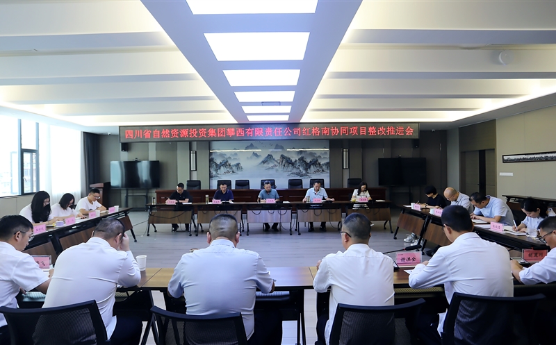 攀西公司召开红格南协同项目整改推进会