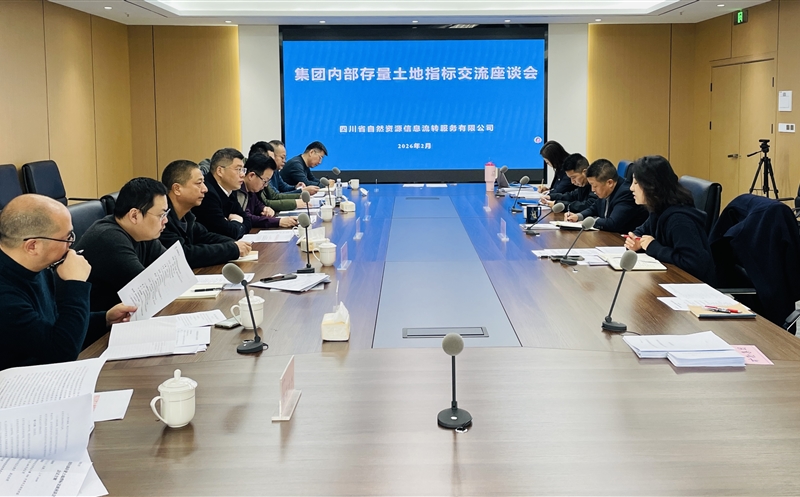 锚定战略协同，，，激活存量价值——流转服务公司召开集团内部存量土地指标交流座谈会
