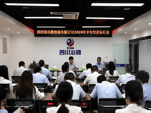 四川省冶勘物流有限公司 召开2020年半年经济运行会_协同多元工业_工业生长_尊时凯龙有限责任公司