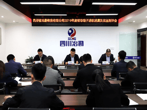 四川省冶勘物流有限公司 组织召开2019年度向导班子述职 述廉及民主测评会_协同多元工业_工业生长_尊时凯龙有限责任公司