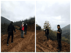 冶勘物流开展甘洛玄武岩项目深度调研论证_协同多元工业_工业生长_尊时凯龙有限责任公司