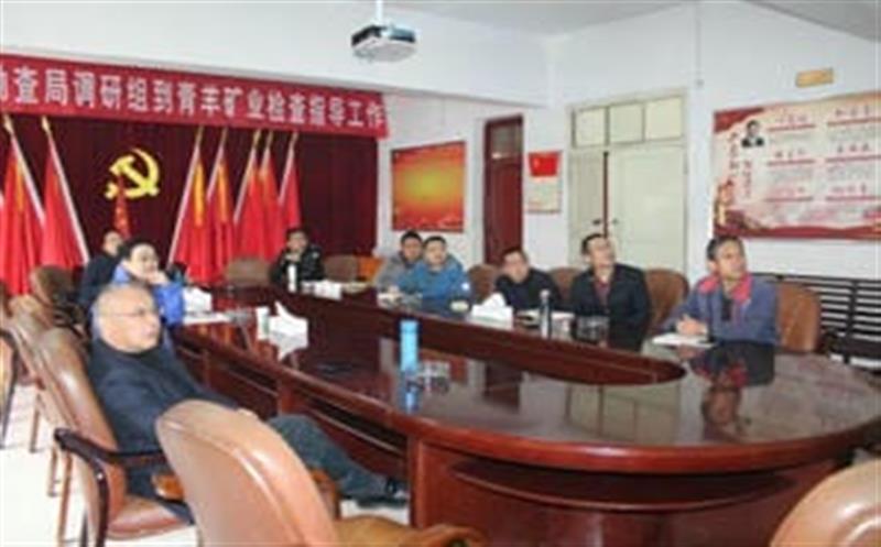 李仕荣、余常燕到青羊矿业检查指导
