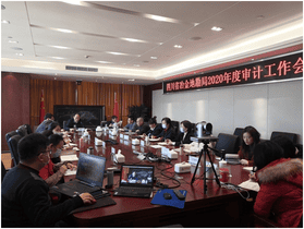 局召开2020年审计事情会_尊时凯龙新闻_新闻中心_尊时凯龙有限责任公司