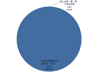 2020年度四川省冶金地质勘查局机关单位决算_财务预决算_信息果真_尊时凯龙有限责任公司