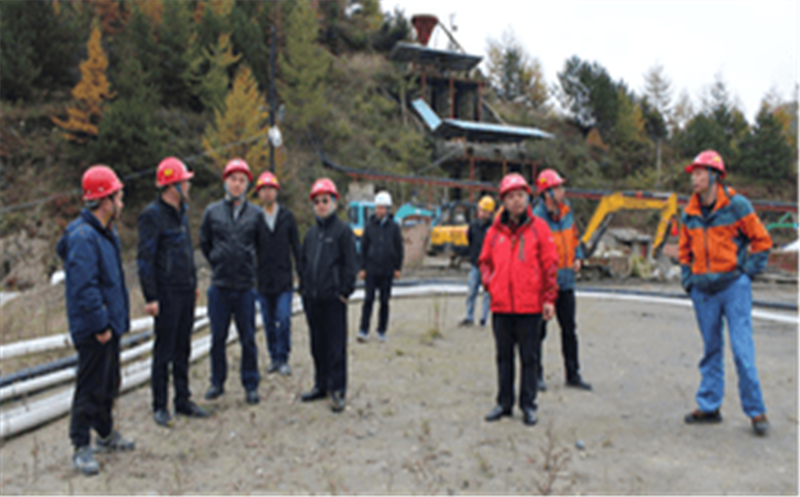 局党委常委、总工程师李仕荣一行 到青羊矿业调研