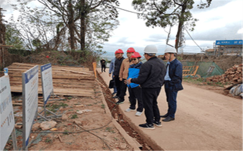 集团党委委员、总工程师李仕荣一行到半山院子地灾治理施工项目检查指导清静生产事情