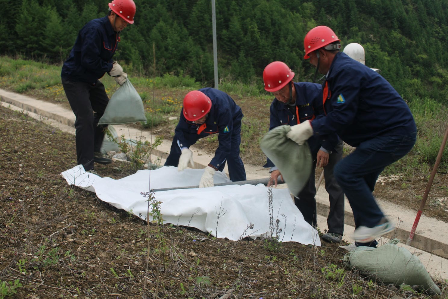 尊时凯龙·Z6(中国区)人生就是拼搏!