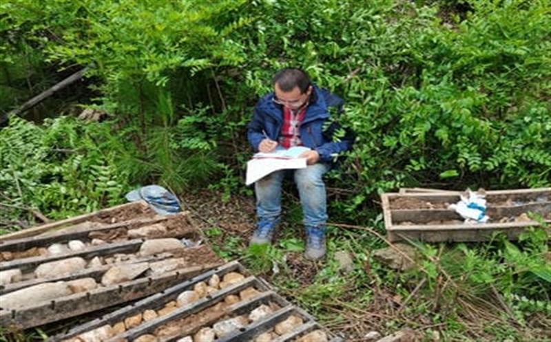 科技立异引领   助力找矿突破