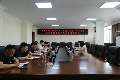 地矿集团党委召开宣传头脑暨意识形态专题事情会_红色堡垒_党建群团_尊时凯龙有限责任公司