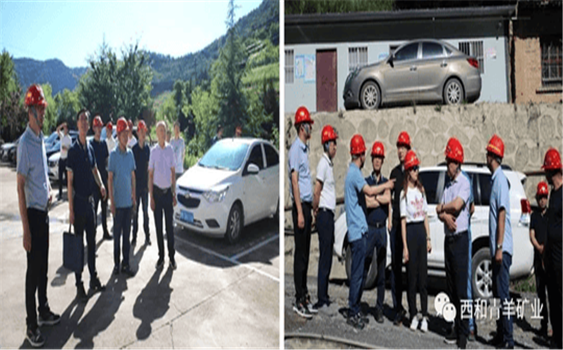 多彩青羊 大美鑫顺 鑫顺人泼墨挥毫绽青春 图画溢彩送祝福 浓墨淡彩庆祝鑫顺二十载 7月1日，，，，西和青羊矿业在庆祝七一建党之际，，，，盛大举行了鑫顺矿业建设20周年艺术作品展，，，，42件优异艺术作品在青羊矿业办公楼参展，，，，向鑫顺矿业建设20周年献礼！ 本次参展作品形式包括书法、绘画、刺绣