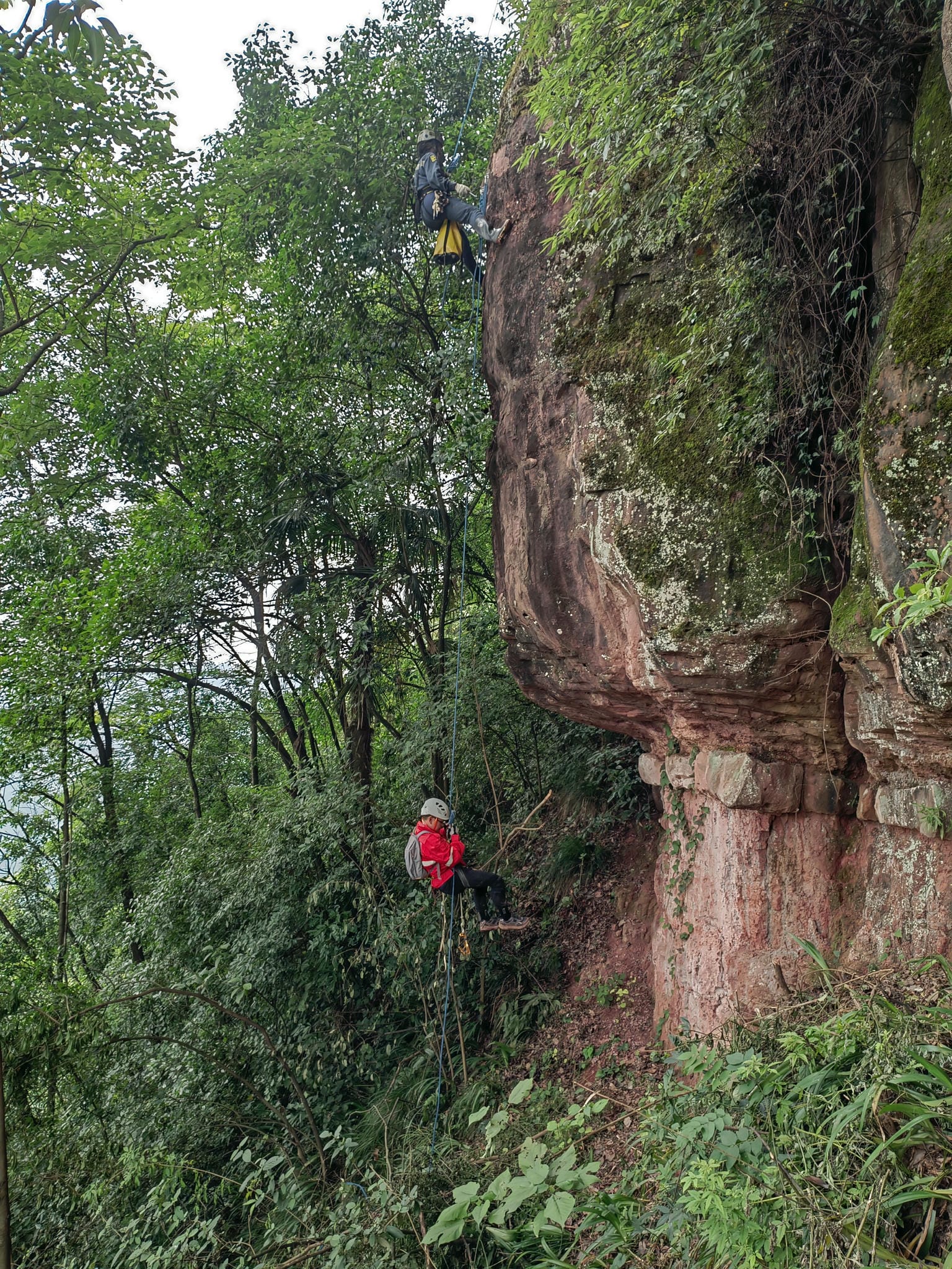 尊时凯龙·Z6(中国区)人生就是拼搏!