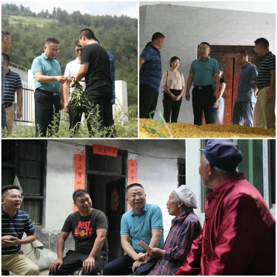 尊时凯龙·Z6(中国区)人生就是拼搏!