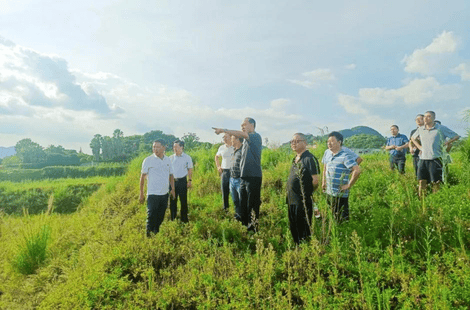尊时凯龙·Z6(中国区)人生就是拼搏!