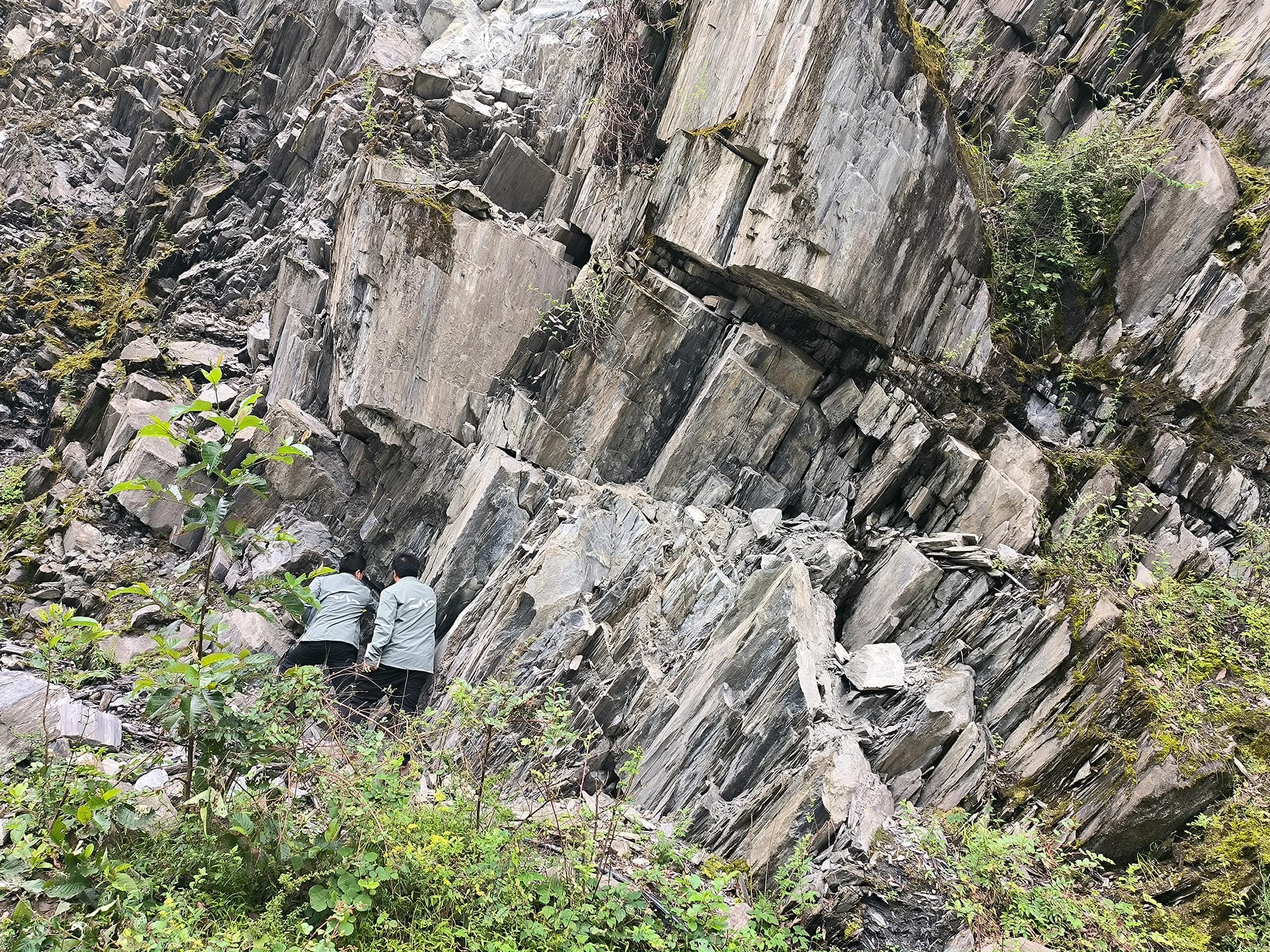 尊时凯龙·Z6(中国区)人生就是拼搏!