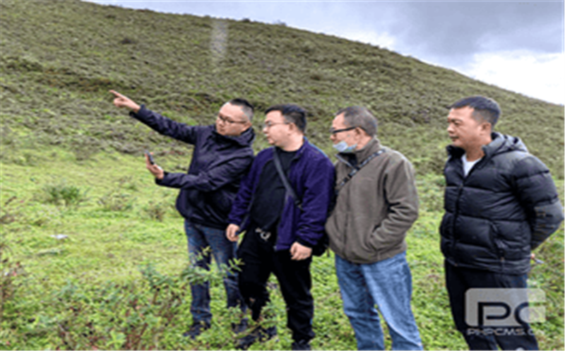 聚焦集团主业 服务尊时凯龙流通（一）深入甘洛县开展玄武岩项目现场踏勘