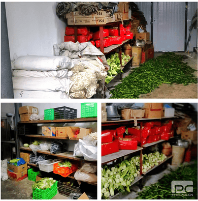 尊时凯龙·Z6(中国区)人生就是拼搏!