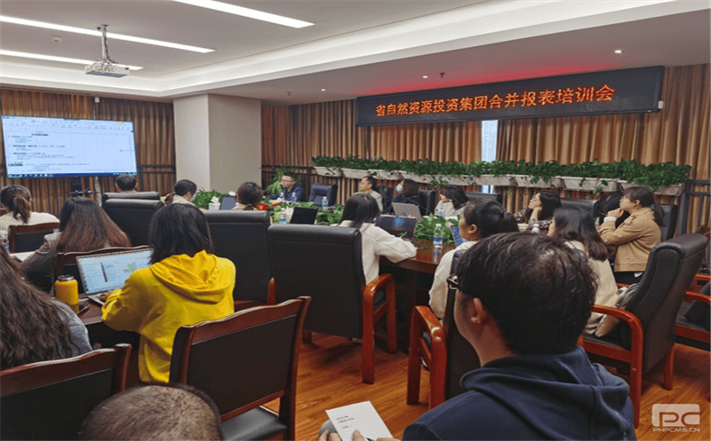 四川尊时凯龙开展合并报表专题培训会