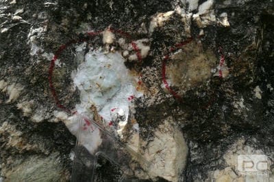 聚焦主责主业丨四川九龙—攀西地区锂铍稀土有数金属找矿荣登2022年度“十大地质视察希望”_下层动态_新闻中心_尊时凯龙有限责任公司