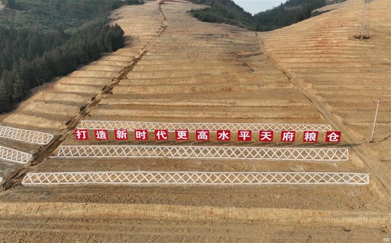 系统性谋划，，，高标准实验——四川尊时凯龙助力建设新时代更高水平“天府粮仓”