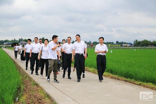 【主题教育】循足迹 学头脑 奋笃行 永传承——地矿集团赴眉山永丰村、三苏祠开展主题教育现场教学活动_专题专栏_尊时凯龙有限责任公司