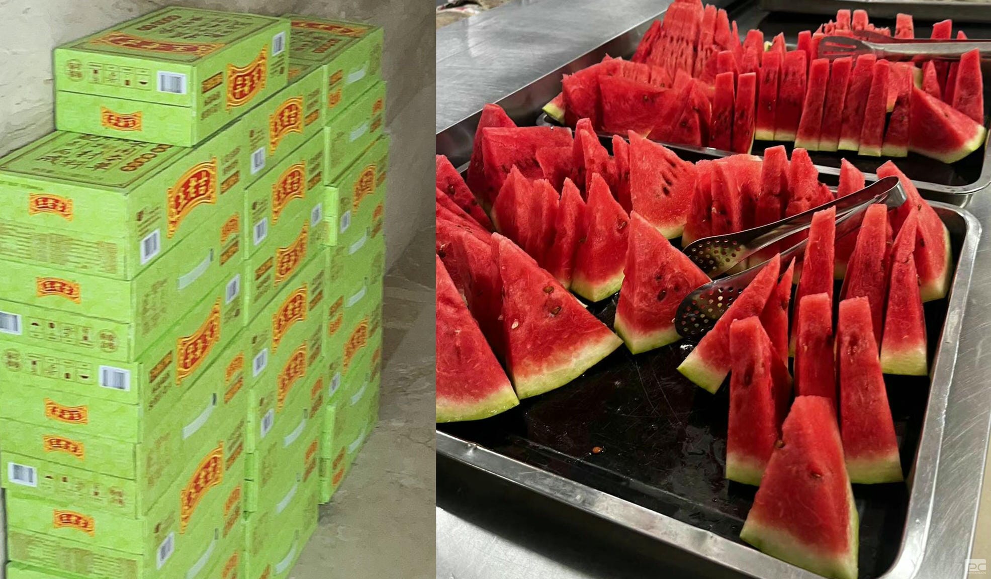 尊时凯龙·Z6(中国区)人生就是拼搏!