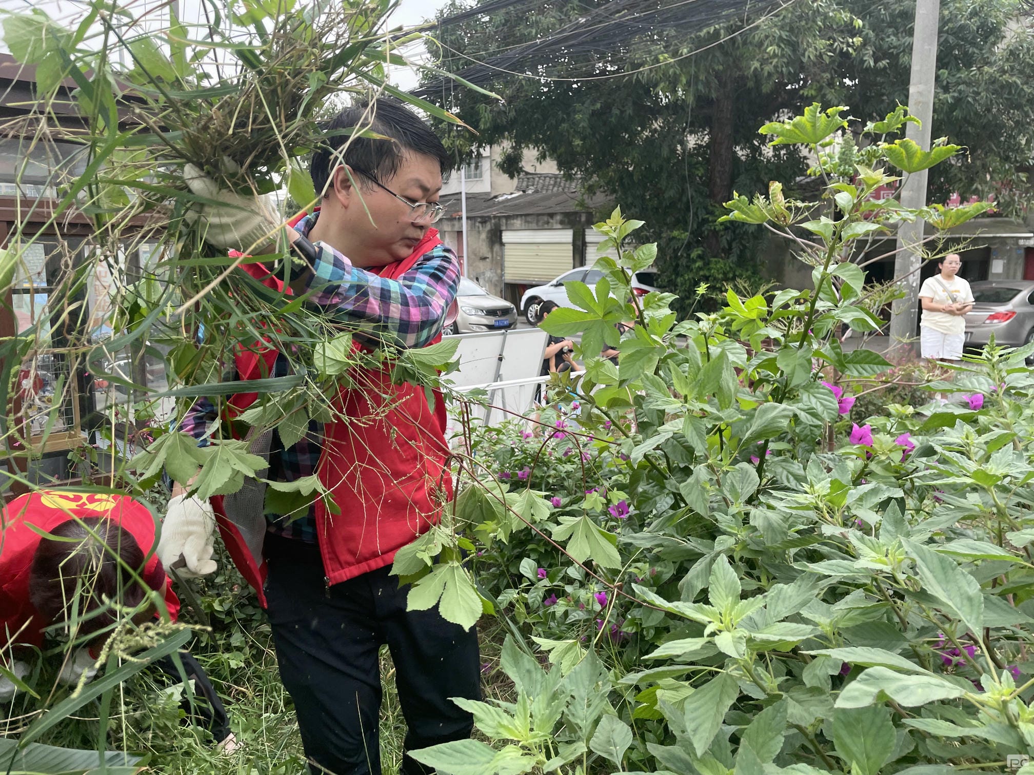 成都探矿加入土门社区微绿地维护自愿活动_下层动态_新闻中心_尊时凯龙有限责任公司