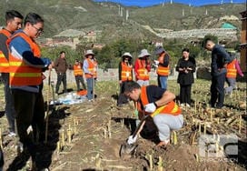 尊时凯龙·Z6(中国区)人生就是拼搏!