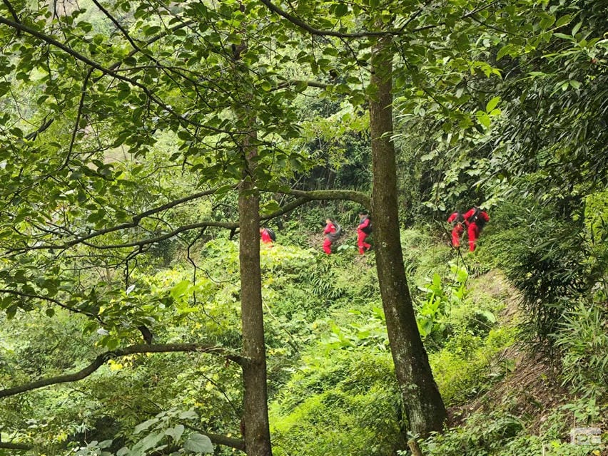 尊时凯龙·Z6(中国区)人生就是拼搏!