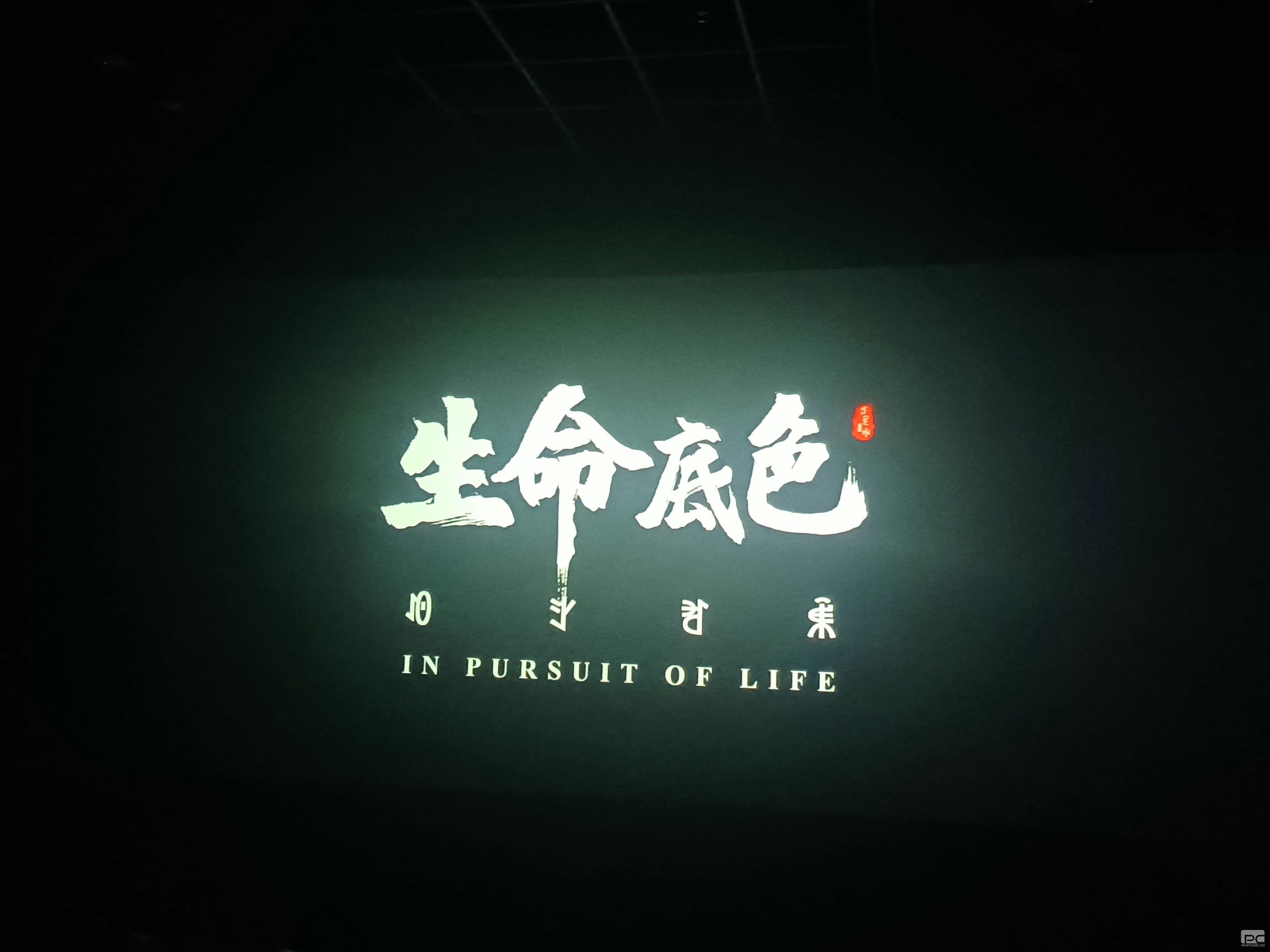 尊时凯龙·Z6(中国区)人生就是拼搏!