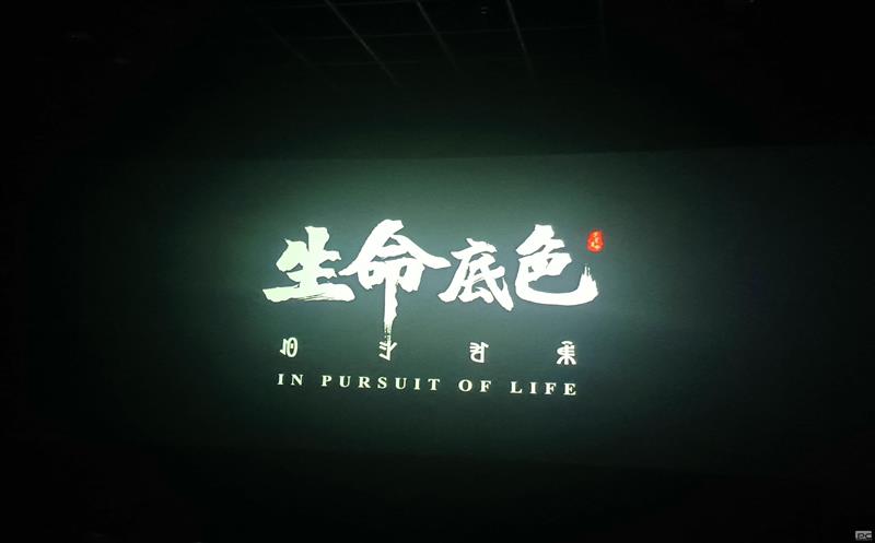 地矿物资公司组织寓目影戏《生命底色》