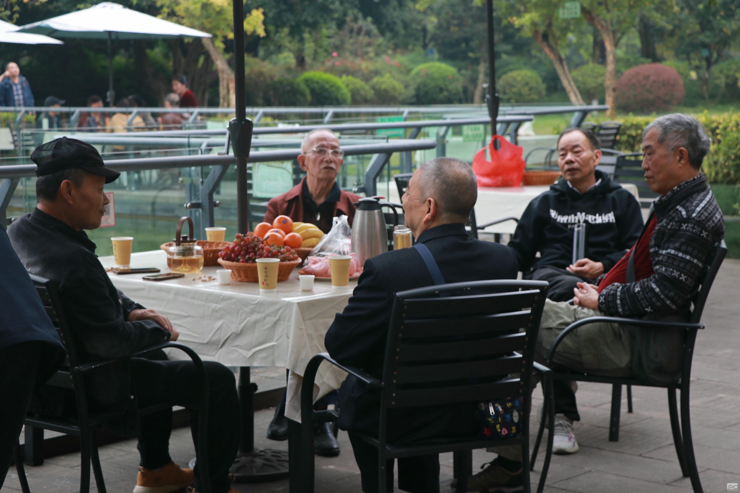 尊时凯龙·Z6(中国区)人生就是拼搏!