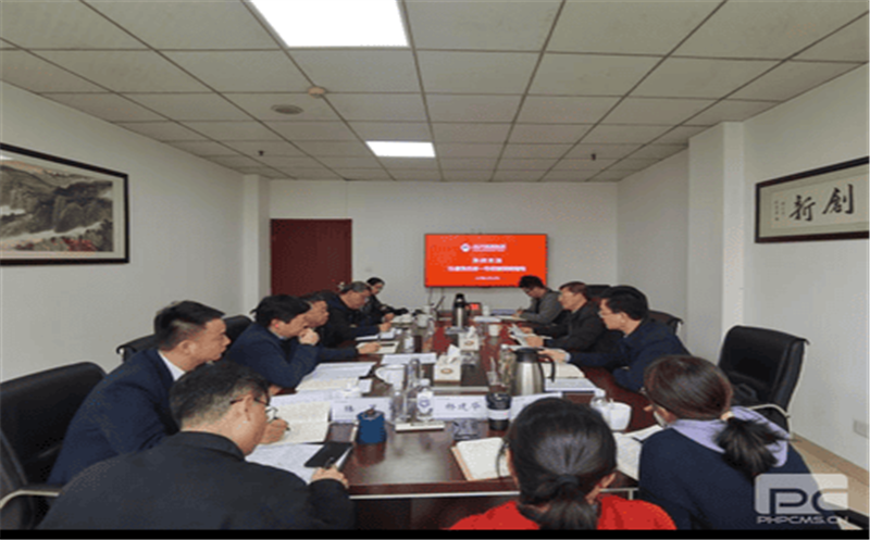 集团向导赴地矿物资调研指导事情