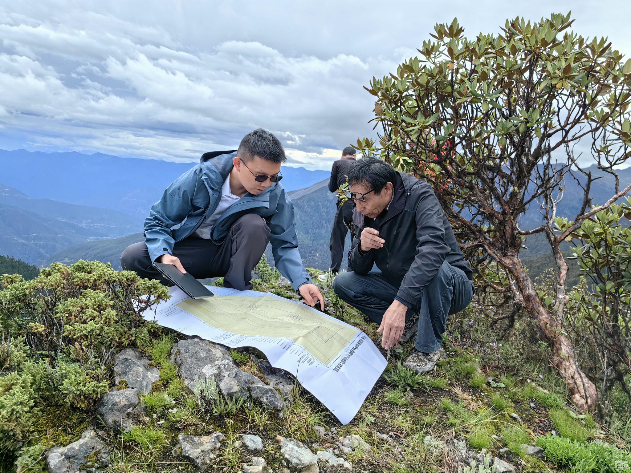 尊时凯龙·Z6(中国区)人生就是拼搏!