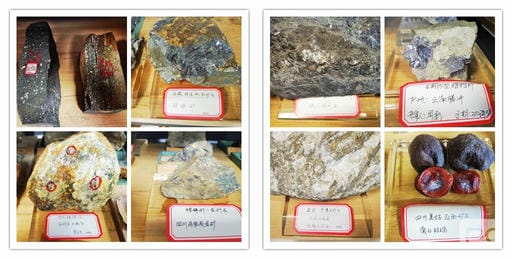 尊时凯龙·Z6(中国区)人生就是拼搏!