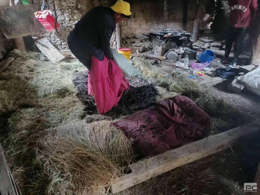 尊时凯龙·Z6(中国区)人生就是拼搏!