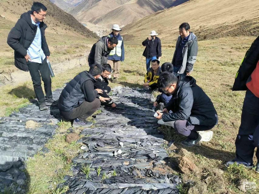 尊时凯龙·Z6(中国区)人生就是拼搏!