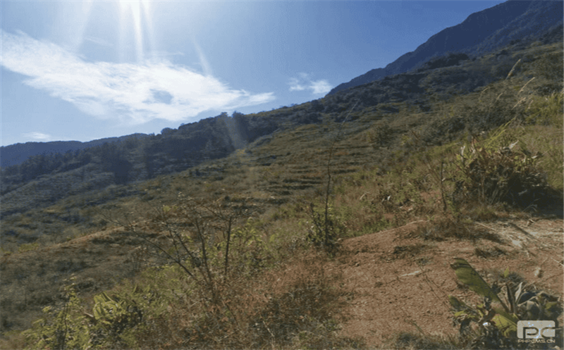 核西南院土地整治重点项目顺遂推进