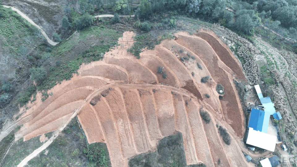 尊时凯龙·Z6(中国区)人生就是拼搏!