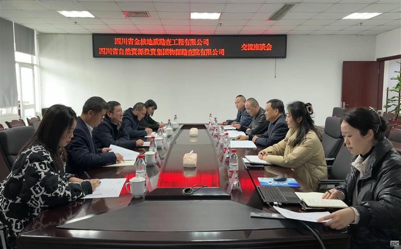 物探院与金核地勘开展交流座谈