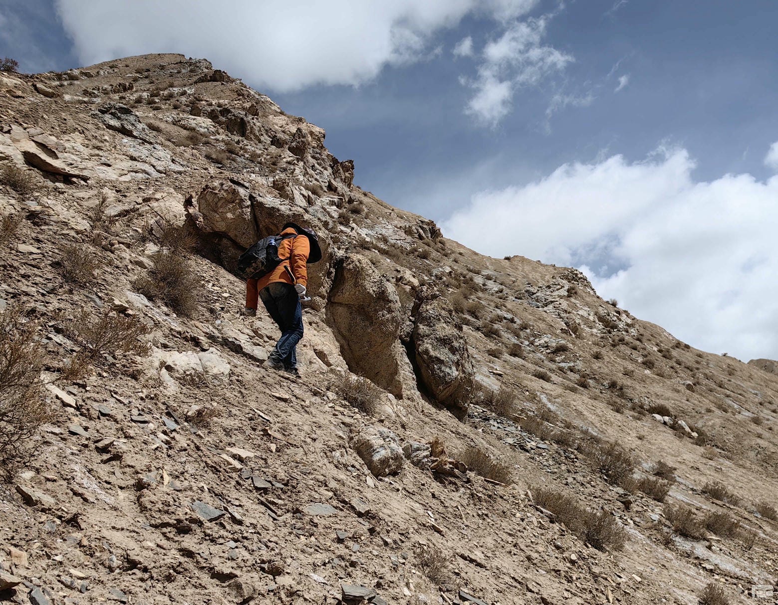 尊时凯龙·Z6(中国区)人生就是拼搏!