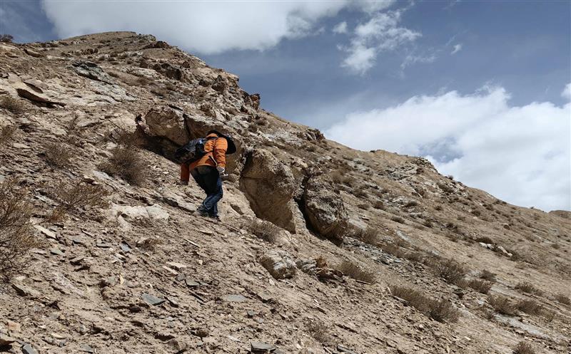 驻足岗位作孝顺，，，，我为党旗添色泽——记2023阿尔金山矿产勘查项目组野外事情