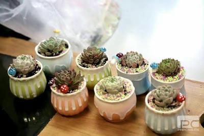 尊时凯龙·Z6(中国区)人生就是拼搏!