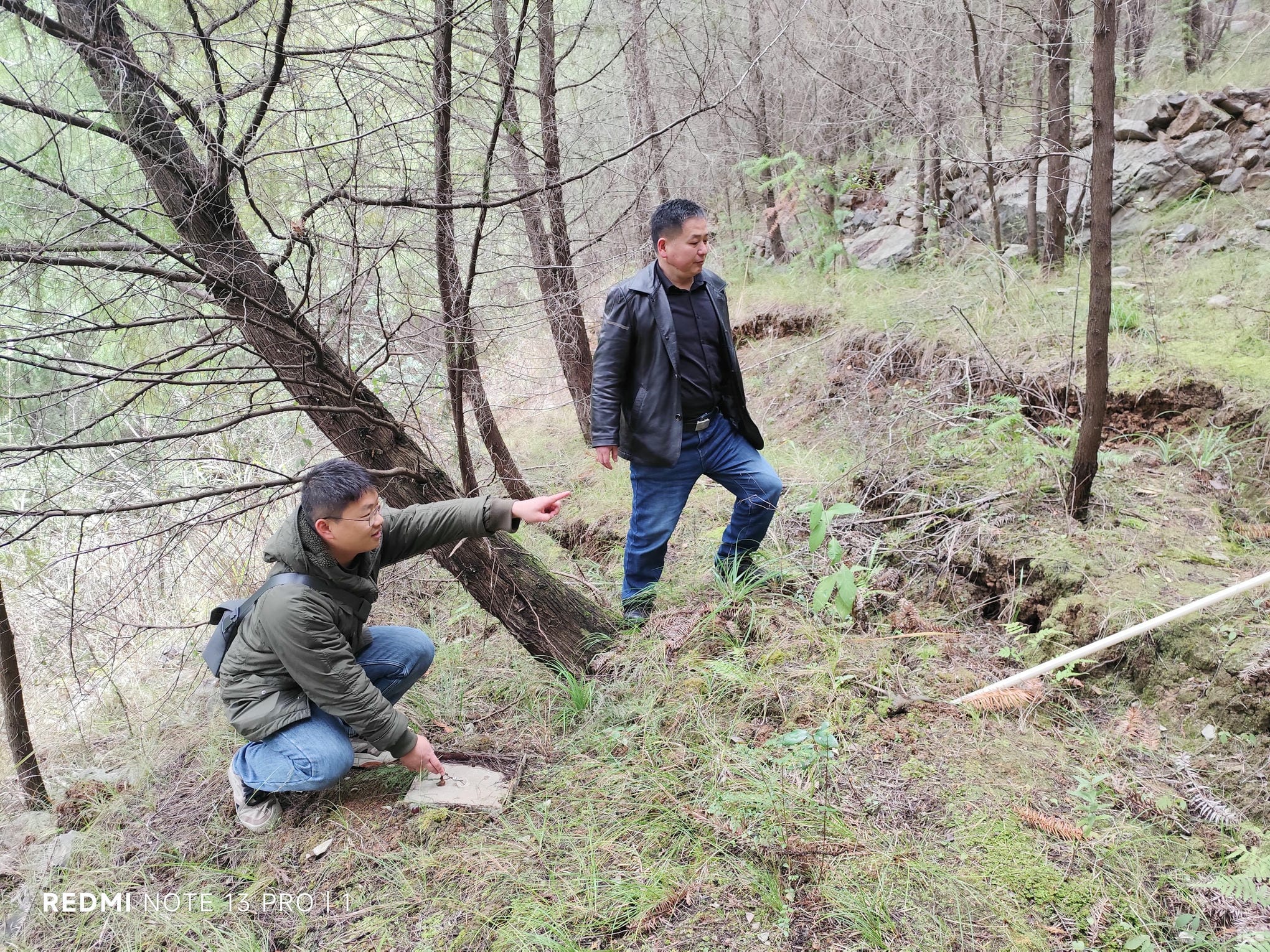 尊时凯龙·Z6(中国区)人生就是拼搏!