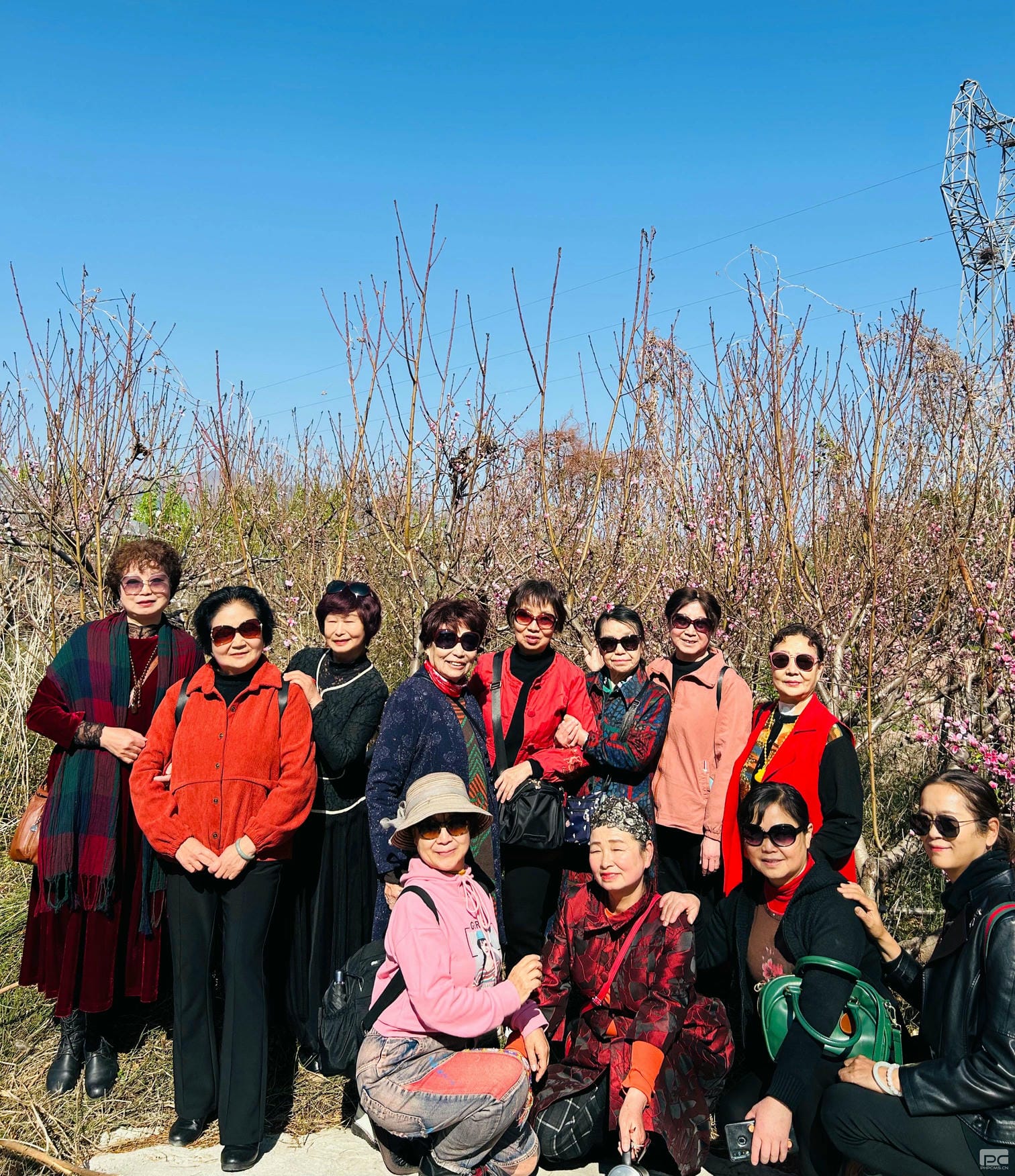 尊时凯龙·Z6(中国区)人生就是拼搏!