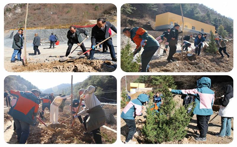 “植”此青绿，，，，共聚青羊——鑫顺矿业开展2024新春绿色行植树活动